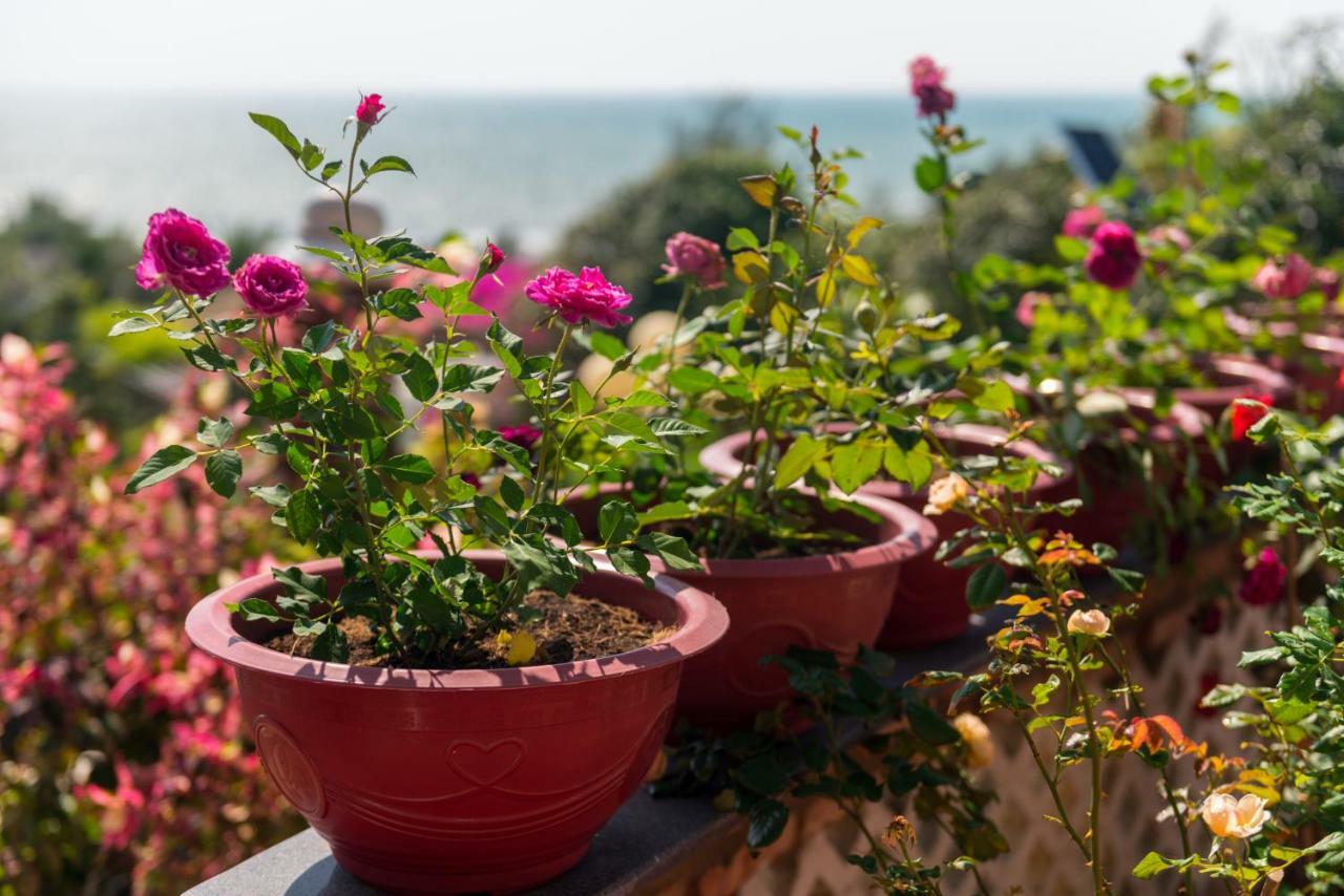 Veranda Beach Place Otel Phan Thiet Dış mekan fotoğraf